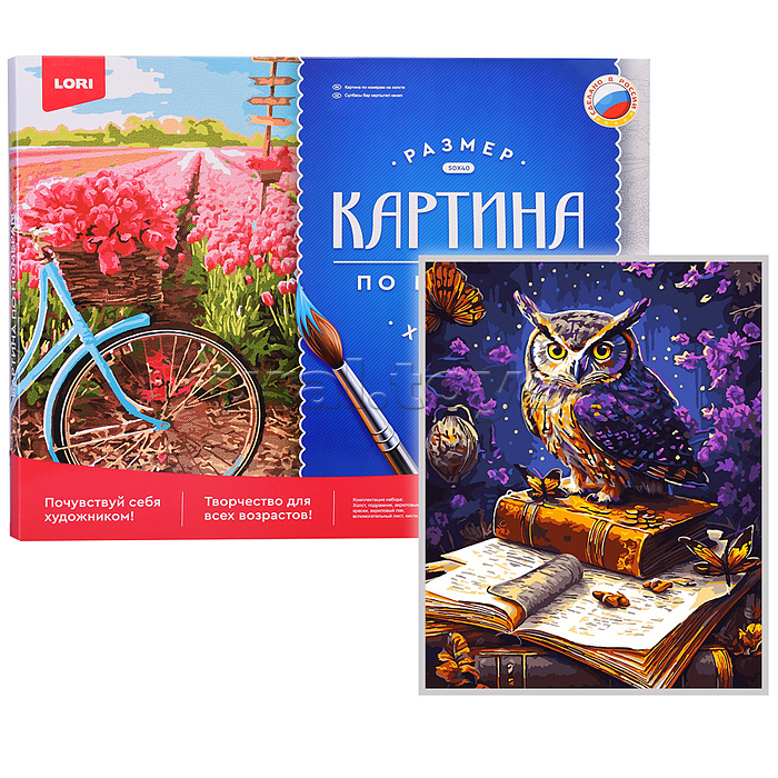 Картина по номерам холст на подрамнике 40*50см "Мудрая сова"