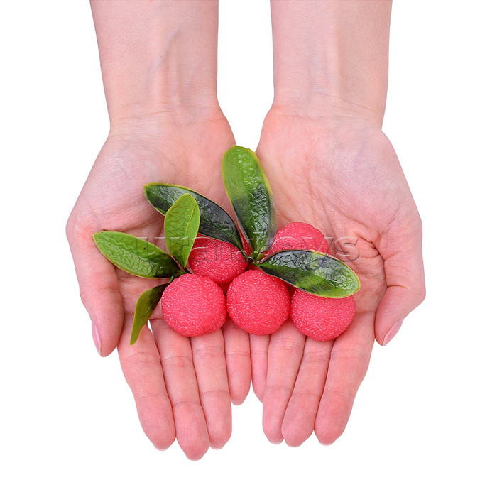 Игрушка -антистресс "Ягодки с листочками" в пакете