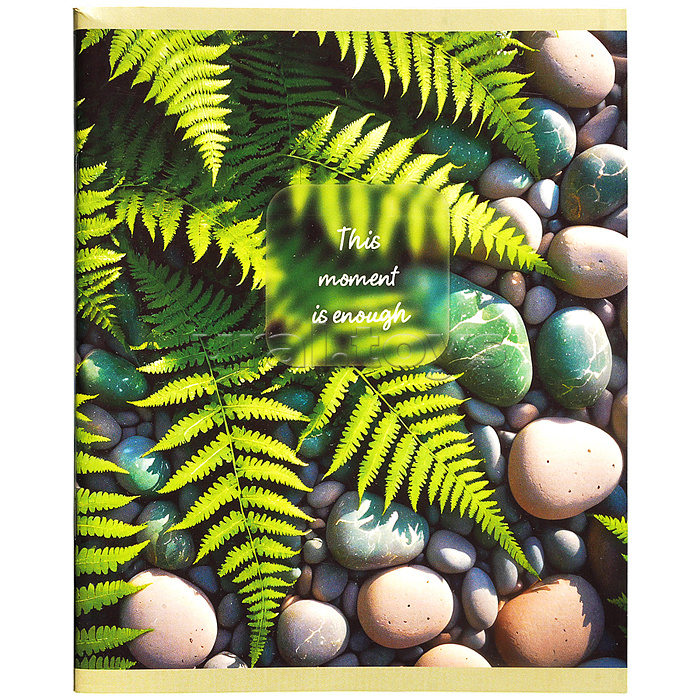 Тетрадь 80л. клетка "Wild & Free" А5 скрепка