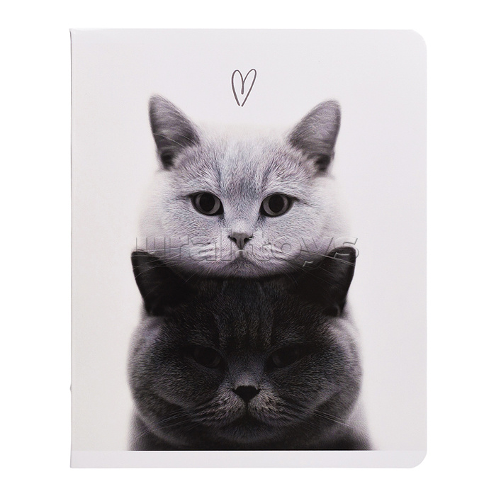 Тетрадь 48 л, клетка "Монохромные коты" А5+, мягкий переплёт (2 скобы)