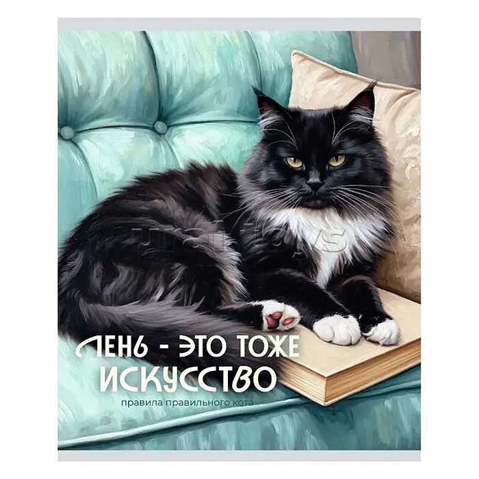 Тетрадь 48л. клетка серая "Кот и лень" А5 скрепка