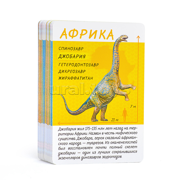 Игра карточная. Диномания. Серия Спроси меня. 54 карточки. 8х12 см.