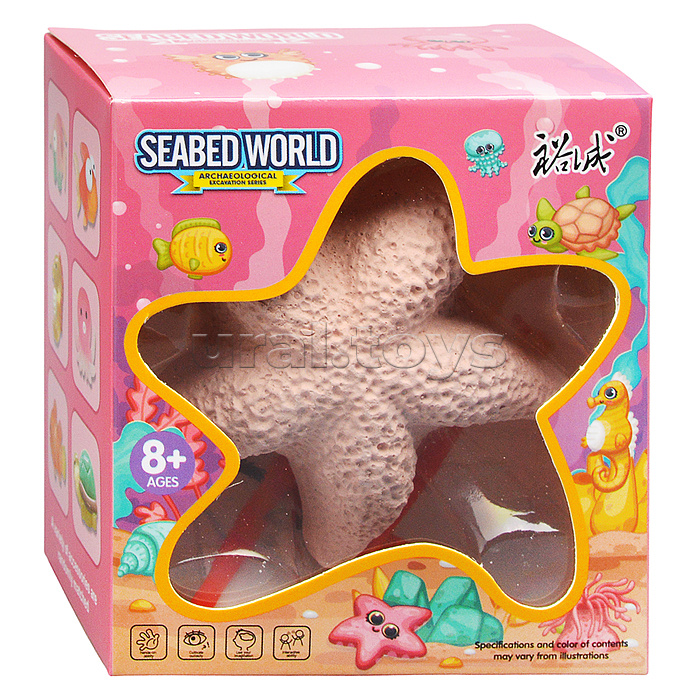 Раскопки "Морская звезда" в коробке