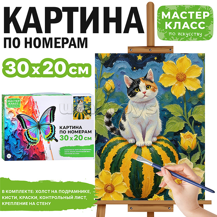 Картина по номерам "Котик на тыкве" 30х20 см.