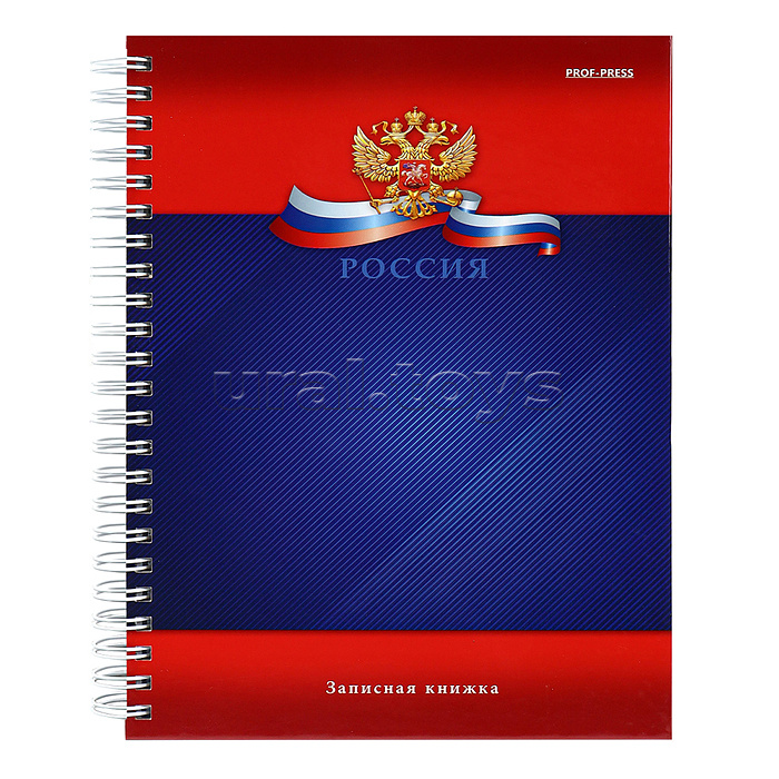 Записная книга на гребне А5 120л. "Символика России - 5"