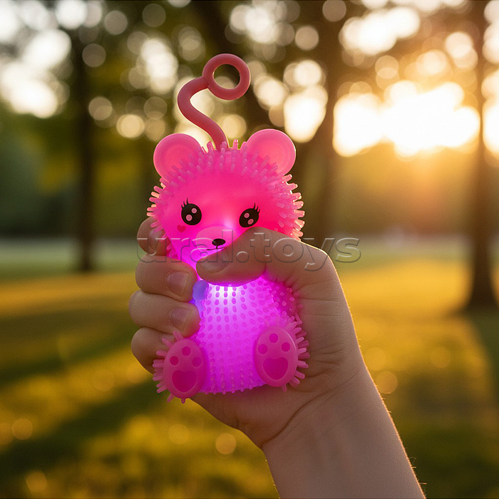 Игрушка-пищалка "Мишки" в коробке