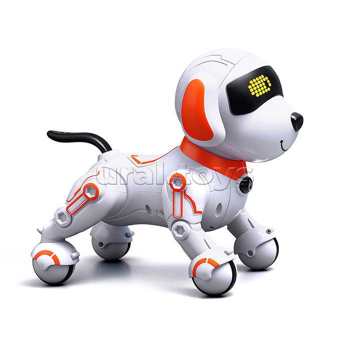 Собака "КиберЛап" в коробке