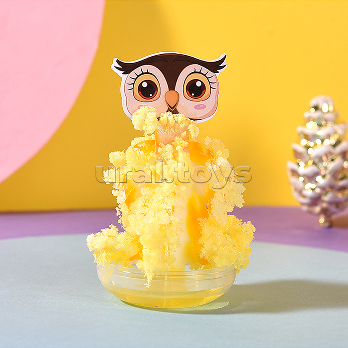 Набор опытов "Животные" в коробке