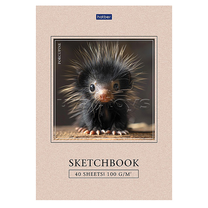 Блокнот SketchBook 40л А5ф "Крошка дикобраз" без линовки 100г/кв.м отрывная склейка