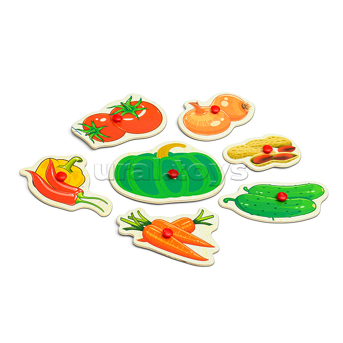 Пазл-вкладыш "Овощи"