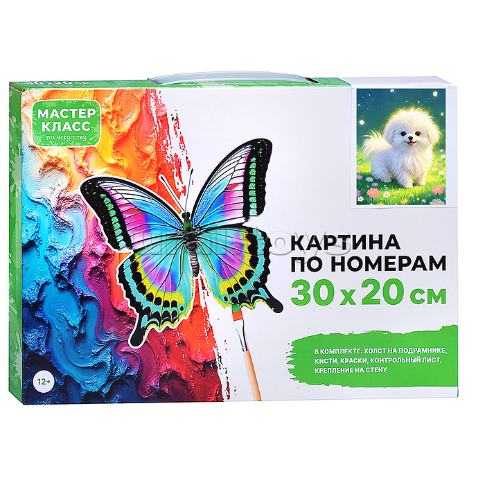 Картина по номерам "Щенок мальтезе" 30*20 см.