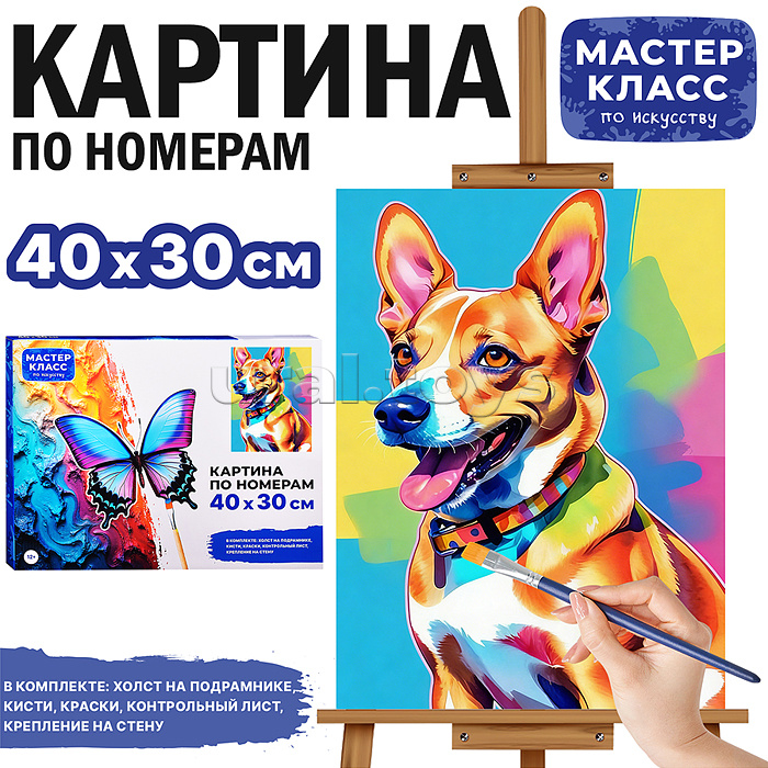 Набор для рисования "Картина по номерам 30*40 см. Корги"