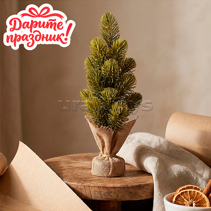 Ель декоративная "Уют" 28 см