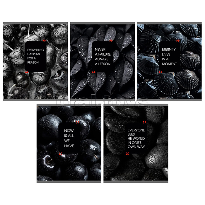 Тетрадь 48л. клетка "Natural Black" А5 скрепка