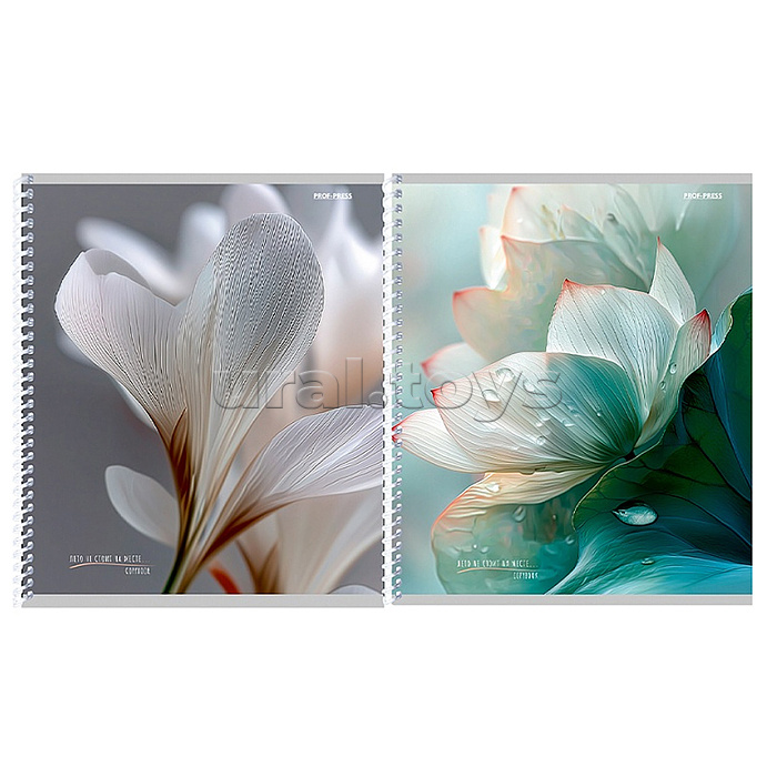 Тетрадь 96л. клетка "Белые цветы" А5 цв.спир,цв.мелов.обл, софт-тач mix