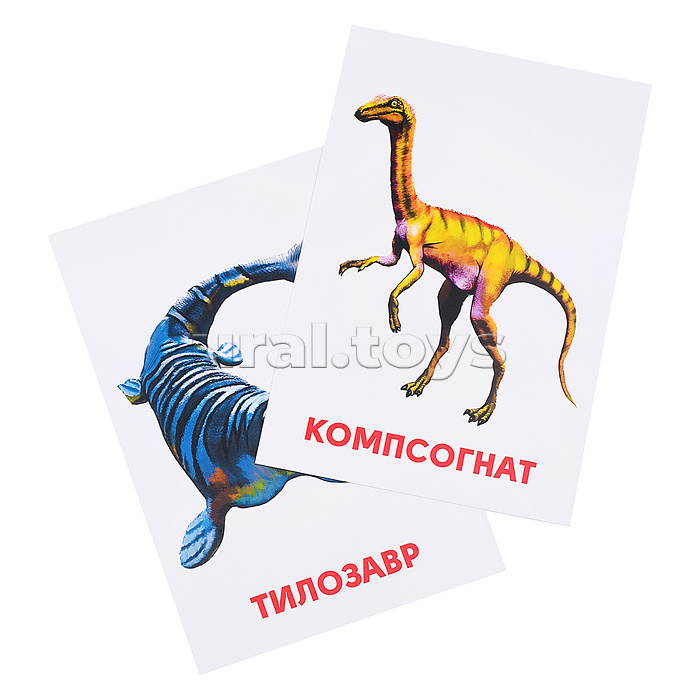 Развивающие карточки. Динозавры Развивающие карточки. Динозавры