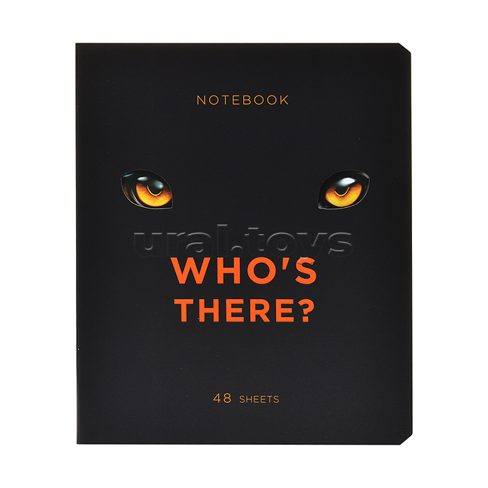 Тетрадь 48л. клетка, А5 "Кто это?" скрепка