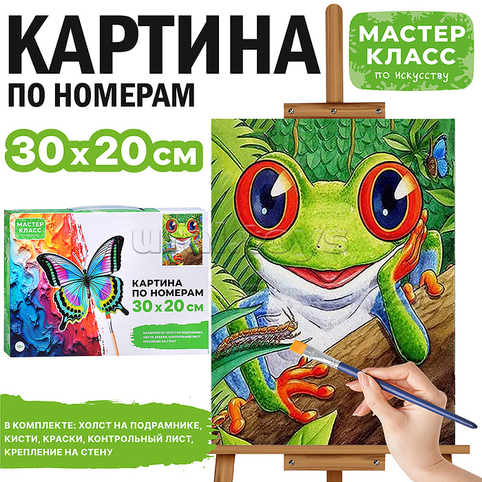 Набор для рисования "Картина по номерам 30х20 см. Квакушка"
