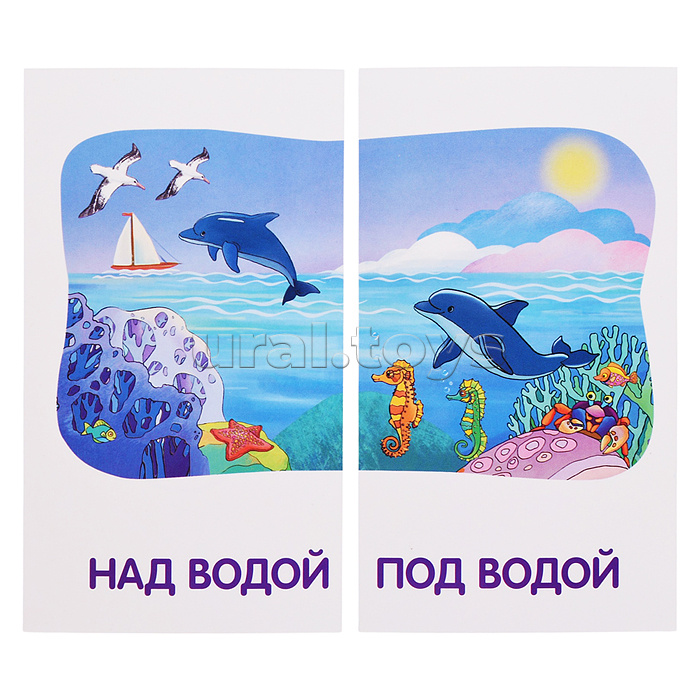 Занимательные карточки. IQ тренажеры. Дошкольное обучение 1. Мяу-гав. Противоположности. 48 карточек \ Куликова Е.Н., Сухарева О.В.