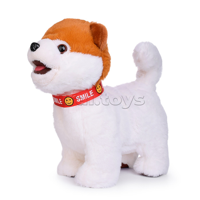 Собака "Джек" (записывает, поёт, двигается) в пакете