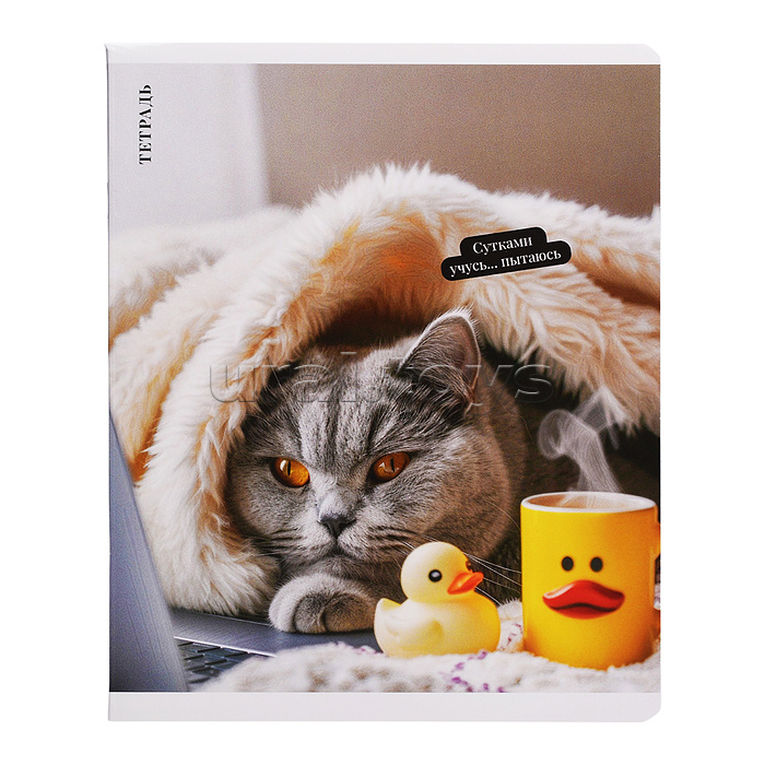 Тетрадь 48 л, клетка "Кот с уткой" А5+, мягкий переплёт (2 скобы)