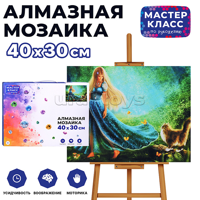 Мозаика алмазная "Прогулка" 30*40см.