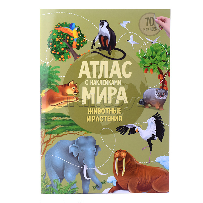 Полезный подарок. Большое путешествие. Мир животных. 5 в 1.