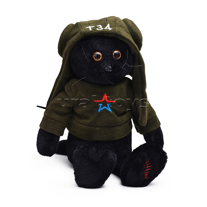 Кот Танкист