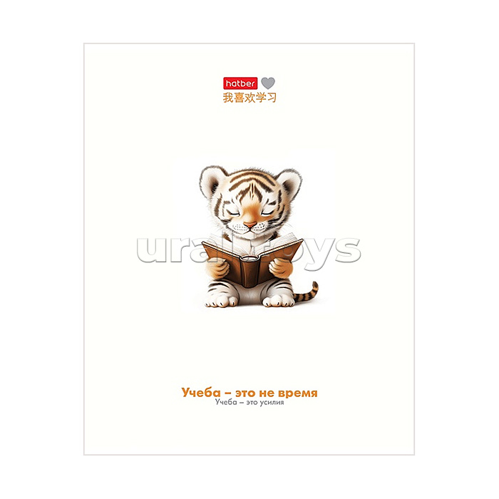 Тетрадь 48л. клетка "Я люблю учиться" А5, на скобе