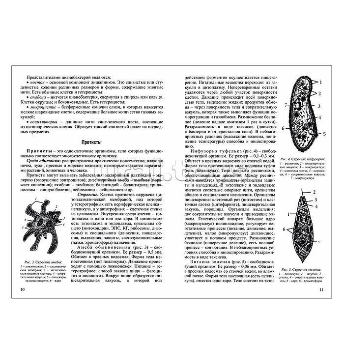Интенсивный курс. Биология