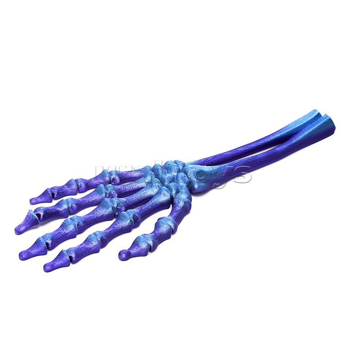 Игрушка-антистресс "Скелет руки"