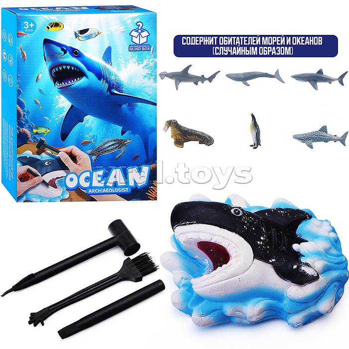 Раскопки "Морской мир" в коробке