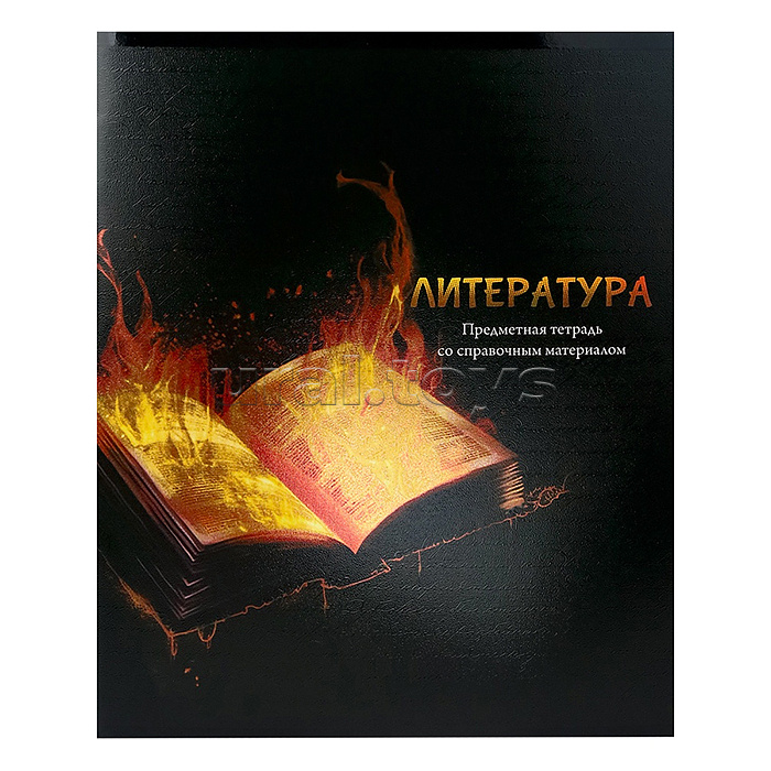 Тетрадь 48л. линия Литература "Магия предмета" стандарт, хол ф.,тв.л