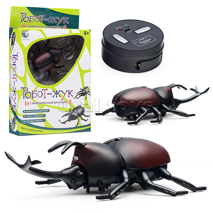 Жук в коробке