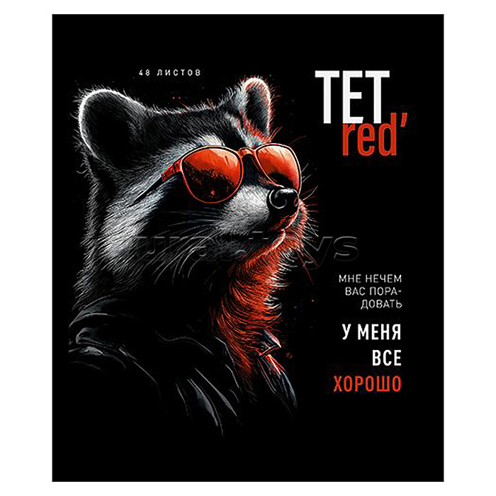 Тетрадь 48л. клетка А5 скрепка S "ТетРед" Премиум 4+4+Матовая ламинация+УФ выб.20%+Конгрев