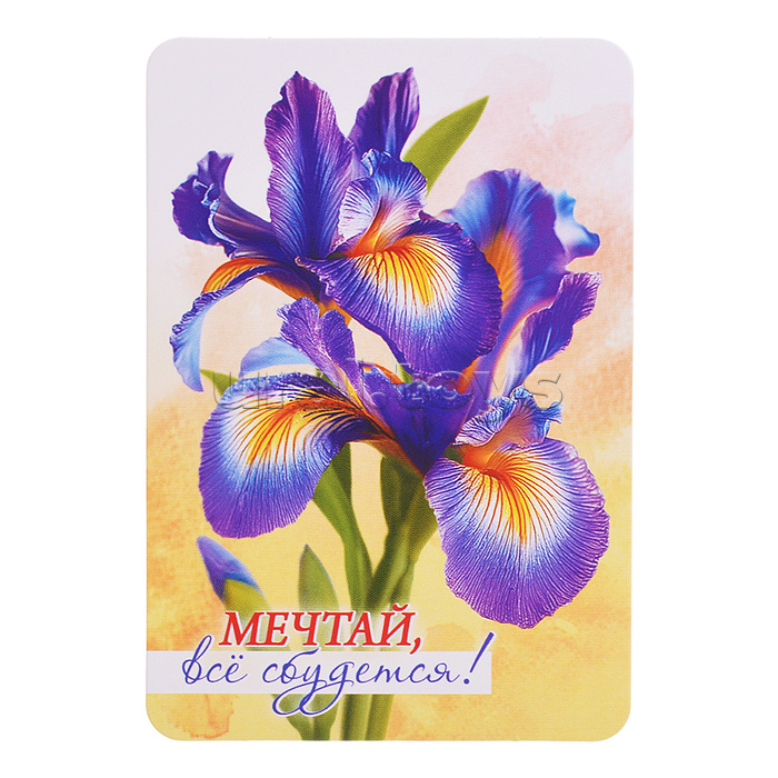 Набор мини-открыток "Акварельные цветы"