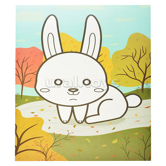 Раскраска пластилином "Лесные жители" 4 карт. А4 в папке