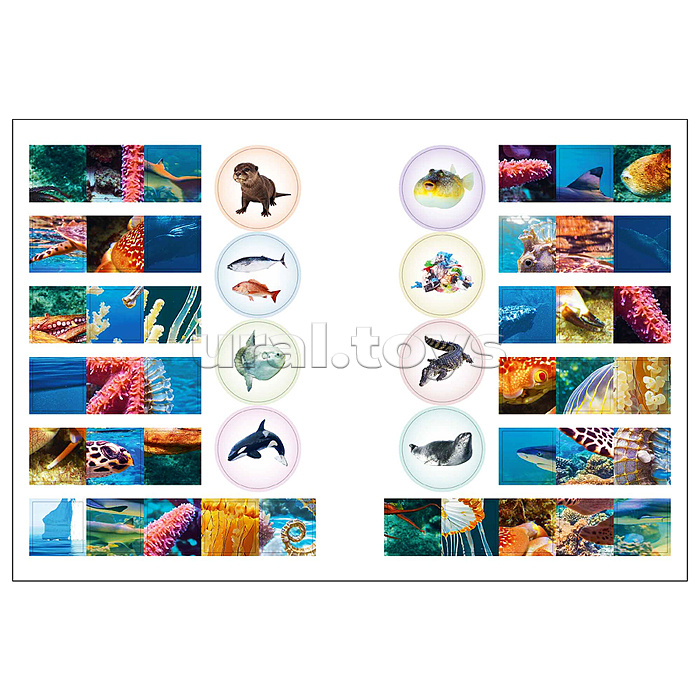 Мир животных с наклейками. Кто живёт под водой?