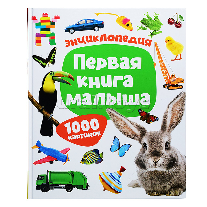 Первая книга малыша. Энциклопедия. 1000 картинок