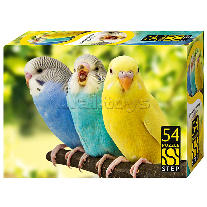 Пазлы 54 "Домашние питомцы"