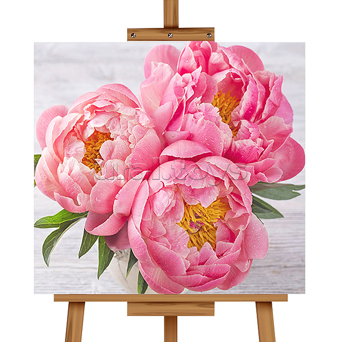 Мозаика алмазная "Пионы" 20*20см.