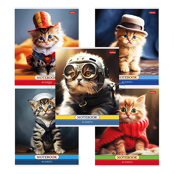 Тетрадь 48л. клетка "Котики-артисты" А5 на скобе 5 диз.в блоке скругл.углы
