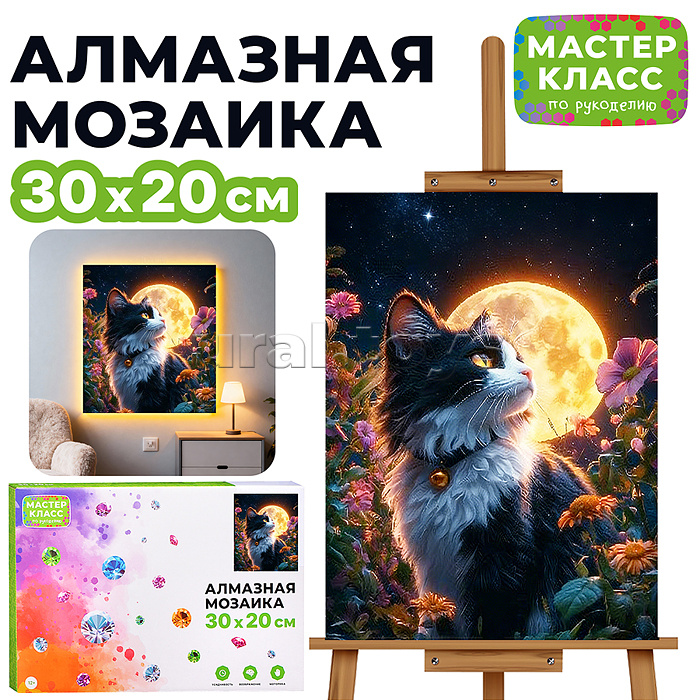 Мозаика алмазная "Черно-белый котик" (светится в темноте) 30*20 см.
