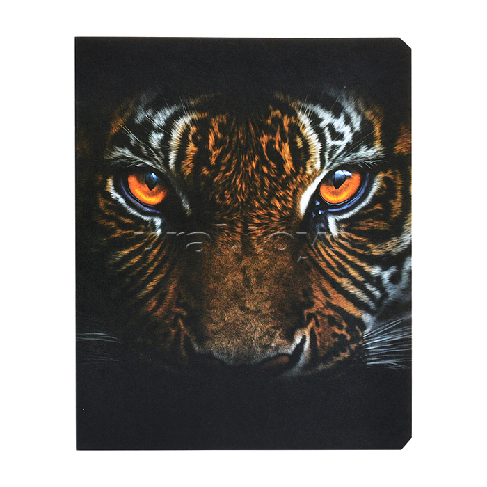 Тетрадь 48л. клетка, А5 "Кто это?" скрепка