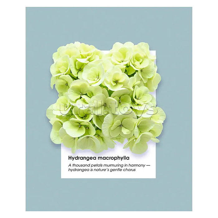 Тетрадь 48л. клетка серая "Гербарий"А5 скрепка