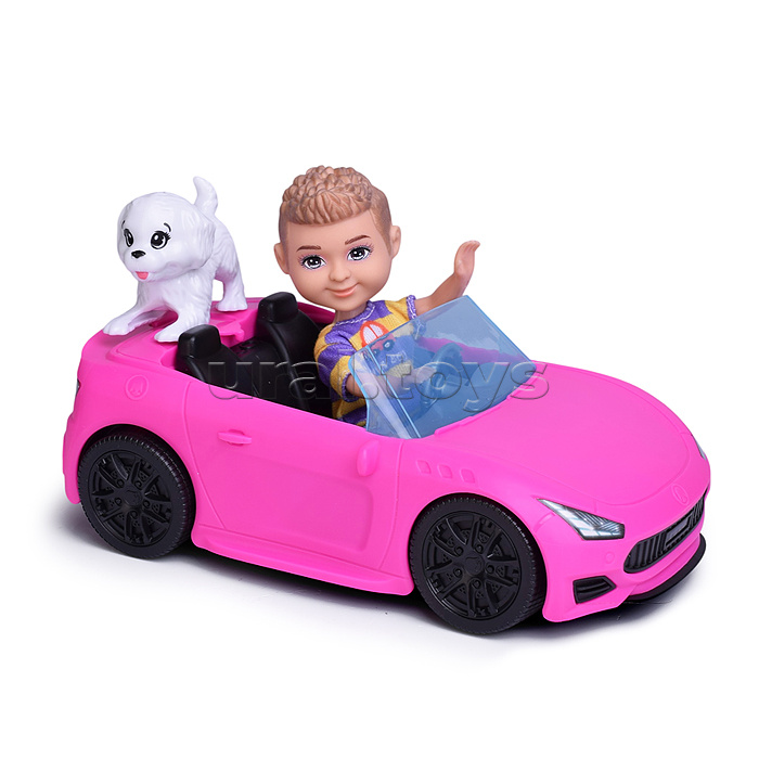 Кукла с аксессуарами "София и семья" в коробке