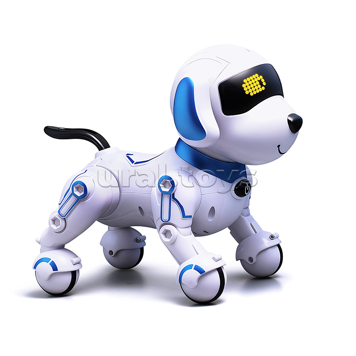 Собака "КиберЛап" в коробке