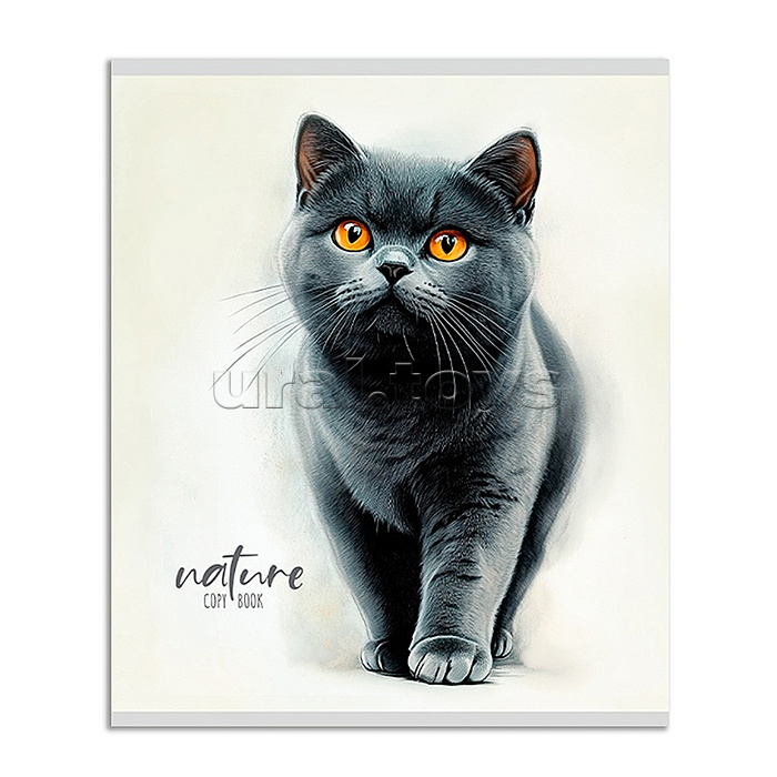 Тетрадь 48л. линия "Красивые коты - 1" цвет. мелов. обл.