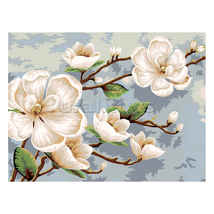 Набор для раскрашивания по номерам 40х30 "Ветвь магнолии"