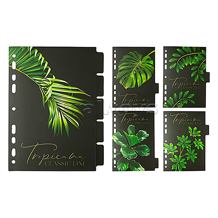 
Разделитель листов "Tropicana" A5 (160x210 мм) ламинированный мелованный картон 210 г/м2, с рисунком, 5 шт, индивидуальная упаковка